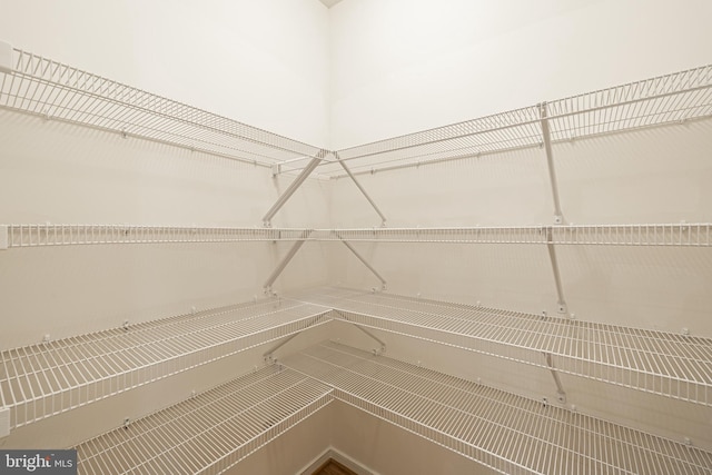 4005 Sweet Azalea Row, Glen Allen, VA 23059 - view of pantry