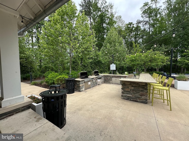 4005 Sweet Azalea Row, Glen Allen, VA 23059 - view of patio / terrace with area for grilling