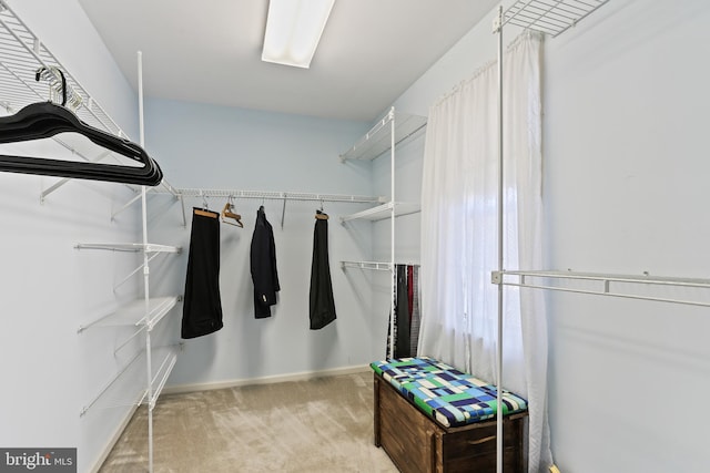 5512 Aspen Dale Ct, Ellicott City, MD 21043 - spacious closet featuring carpet flooring