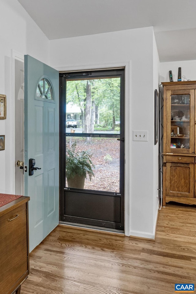 6 Axle Tree Rd, Palmyra, VA 22963 - foyer entrance featuring light wood-style flooring