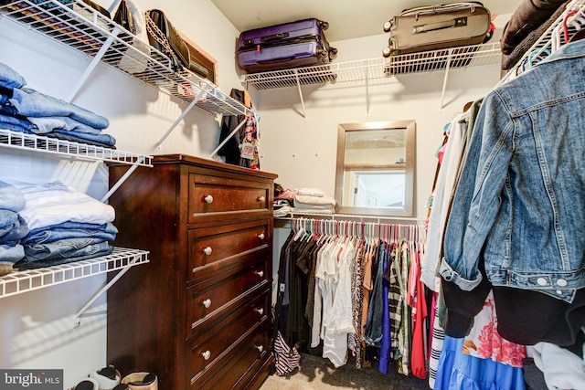 812 Red Rock Cir, Royersford, PA 19468 - walk in closet with carpet floors