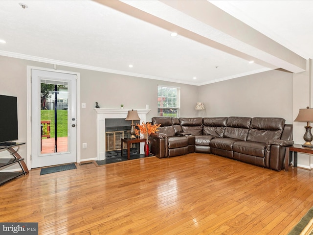 20523 Staffordshire Dr, Germantown, MD 20874 - living room with plenty of natural light, light wood-type flooring, crown molding, a fireplace with flush hearth, and recessed lighting