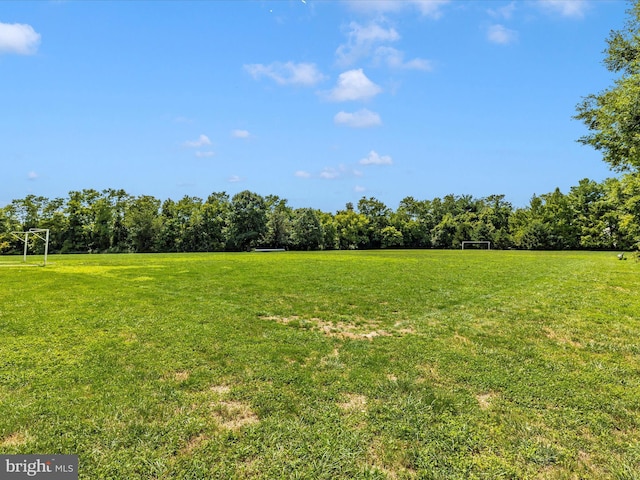 20523 Staffordshire Dr, Germantown, MD 20874 - view of yard featuring an area for sports