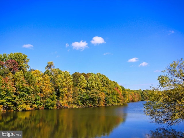 20523 Staffordshire Dr, Germantown, MD 20874 - water view featuring a heavily wooded area