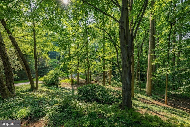1091 Old Cedar Rd, Mclean, VA 22102 - view of woods