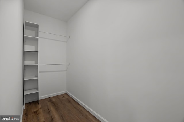 1 Mimosa Ln, Levittown, PA 19054 - spacious closet with wood finished floors