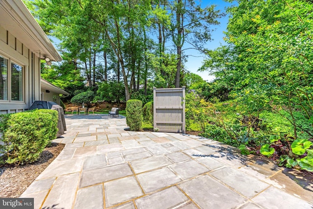 5 Tall Tree Ct, Baltimore, MD 21208 - view of patio / terrace