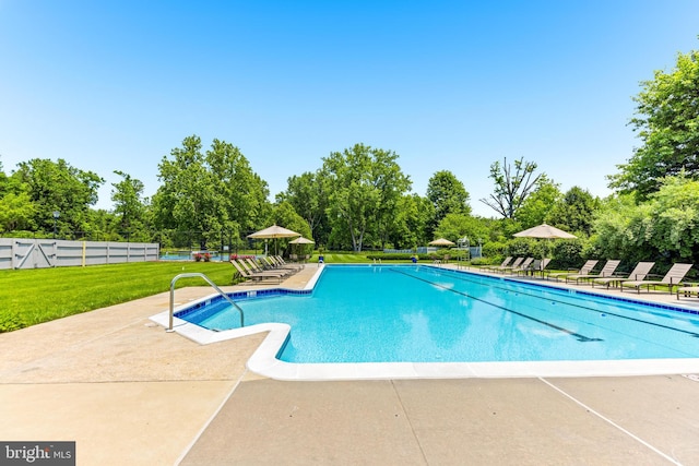 5 Tall Tree Ct, Baltimore, MD 21208 - community pool featuring a patio area and view of wooded area