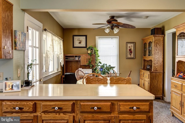 236 Ardmore Ave, Haddonfield, NJ 08033 - kitchen with ceiling fan, carpet flooring, light countertops, and plenty of natural light