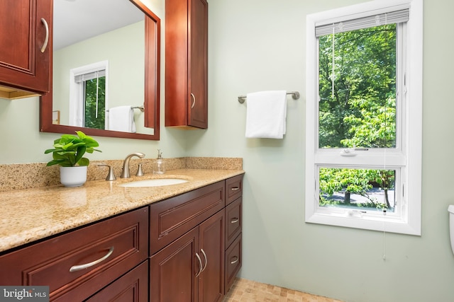 5305 Thunder Hill Rd, Columbia, MD 21045 - bathroom with vanity, plenty of natural light, and toilet
