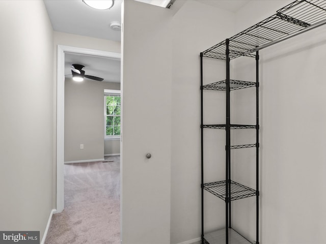 108 Bickel Ct, Sterling, VA 20165 - spacious closet with carpet floors and ceiling fan