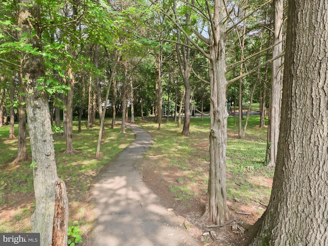 108 Bickel Ct, Sterling, VA 20165 - view of home's community