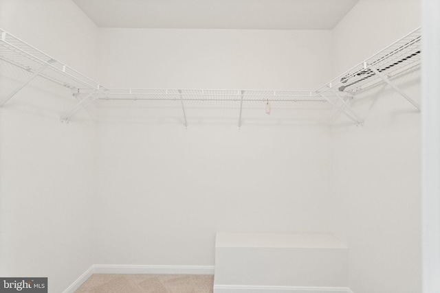 45620 Livingstone Station St, Sterling, VA 20166 - spacious closet with light carpet