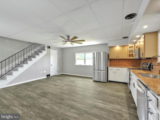 20 E Market St, Schuylkill Haven, PA 17972 - kitchen featuring appliances with stainless steel finishes, a sink, ceiling fan, glass insert cabinets, and light stone countertops