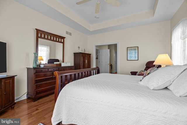 230 Bobwhite Rd, New Hope, PA 18938 - bedroom featuring multiple windows, wood finished floors, a ceiling fan, and a tray ceiling