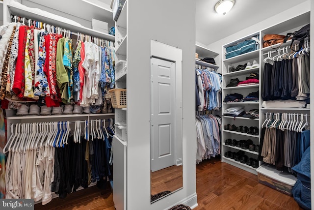 230 Bobwhite Rd, New Hope, PA 18938 - spacious closet featuring wood finished floors