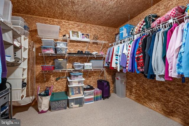 230 Bobwhite Rd, New Hope, PA 18938 - spacious closet featuring carpet