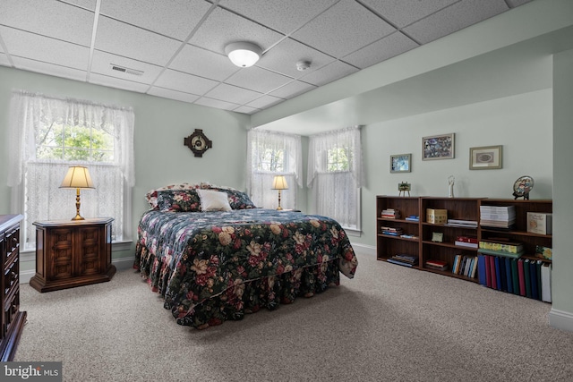 230 Bobwhite Rd, New Hope, PA 18938 - carpeted bedroom with multiple windows, a paneled ceiling, and baseboards