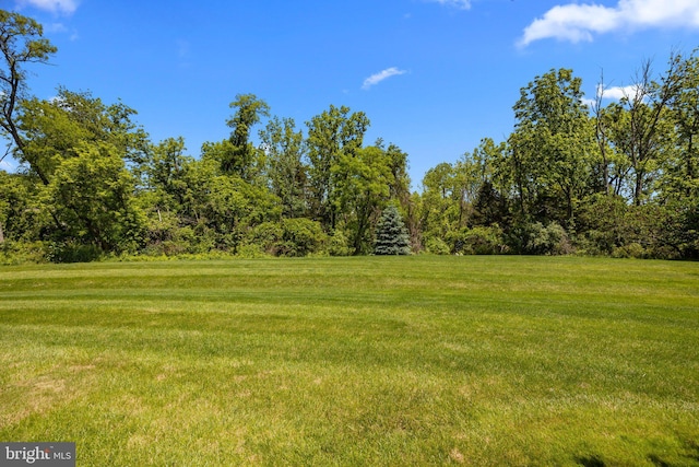 230 Bobwhite Rd, New Hope, PA 18938 - view of grassy yard