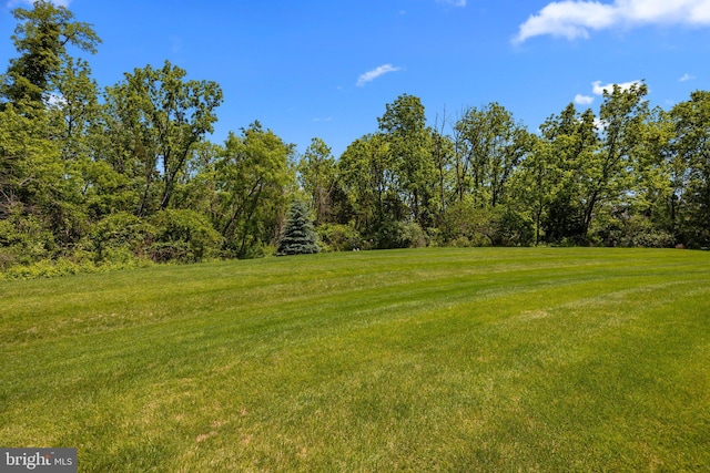 230 Bobwhite Rd, New Hope, PA 18938 - view of green lawn