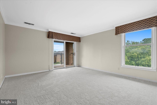 3203 Falcon Ln Ste 311, Wilmington, DE 19808 - spare room featuring crown molding, baseboards, and carpet