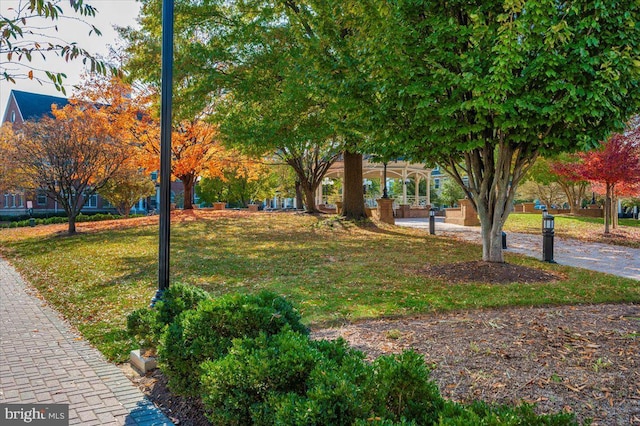 2500 Waterside Dr Unit 110, Frederick, MD 21701 - view of home's community featuring a yard