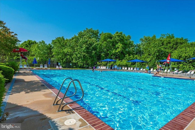 2500 Waterside Dr Unit 110, Frederick, MD 21701 - community pool with view of wooded area and a patio