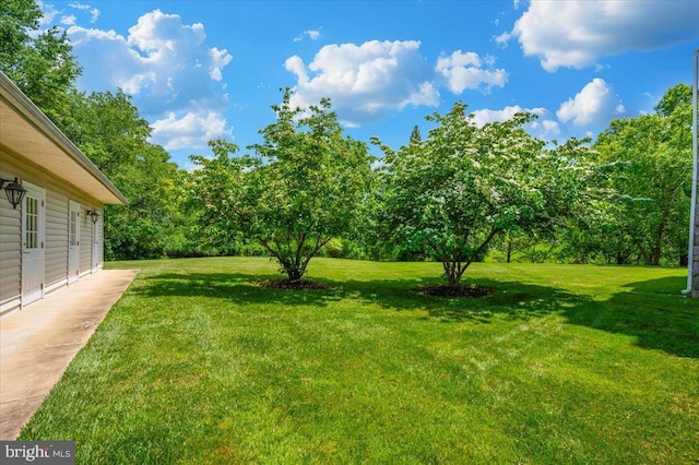 2500 Waterside Dr Unit 110, Frederick, MD 21701 - view of green lawn