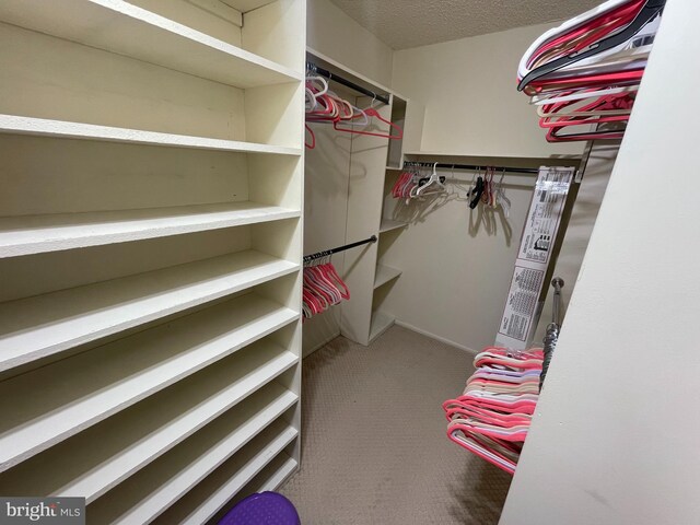 666 W Germantown Pike Unit 1721, Plymouth Meeting, PA 19462 - spacious closet with carpet flooring