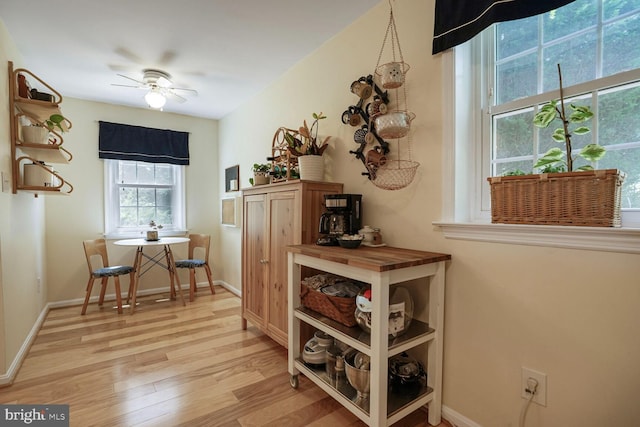 6072 Old Landing Way Unit 48, Burke, VA 22015 - corridor featuring light wood-style floors and baseboards