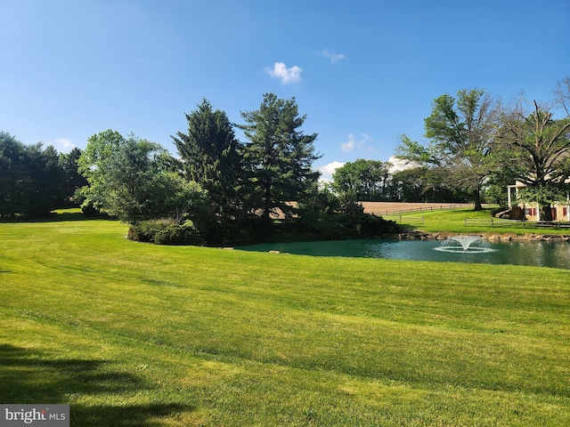 4560 Bossler Rd, Elizabethtown, PA 17022 - view of green lawn featuring a water view