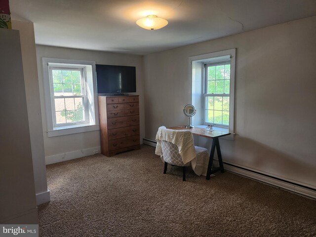 4560 Bossler Rd, Elizabethtown, PA 17022 - carpeted office with plenty of natural light, baseboard heating, baseboards, and a baseboard radiator
