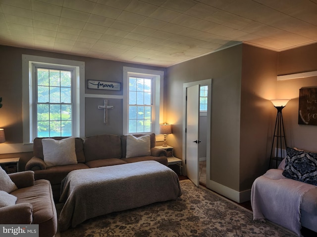 4560 Bossler Rd, Elizabethtown, PA 17022 - living room featuring healthy amount of natural light, wood finished floors, and baseboards