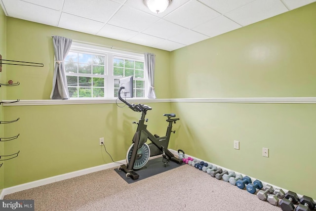 6040 Shady Side Rd, Shady Side, MD 20764 - exercise area with carpet and a drop ceiling