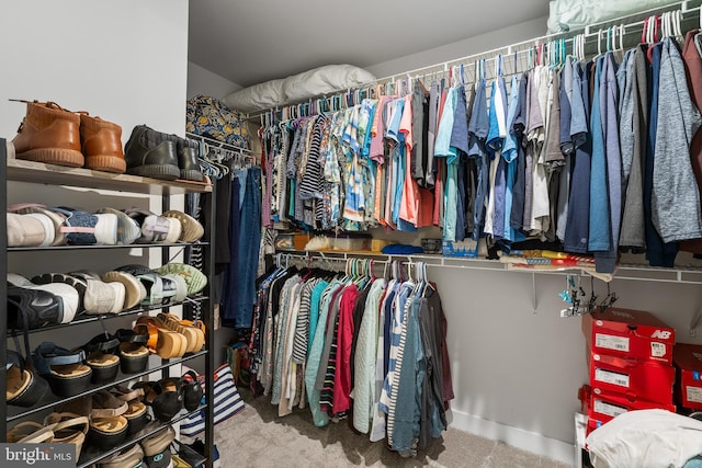 1528 Catbriar Way, Odenton, MD 21113 - walk in closet with carpet floors