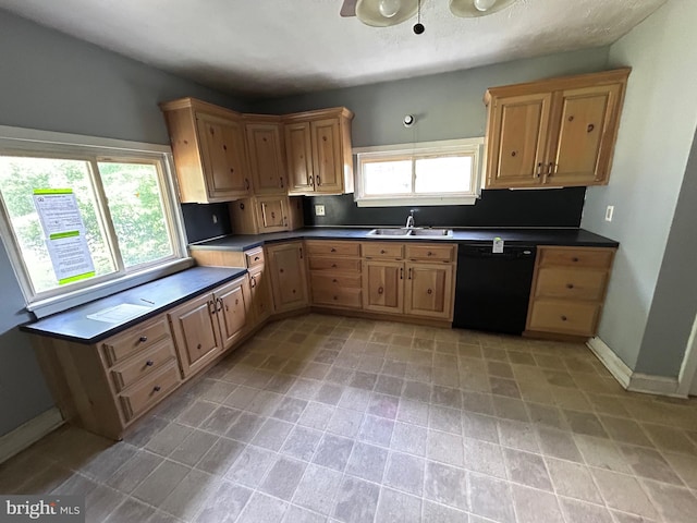 23341 Great Cove Rd, Mcconnellsburg, PA 17233 - kitchen with dishwasher and dark countertops