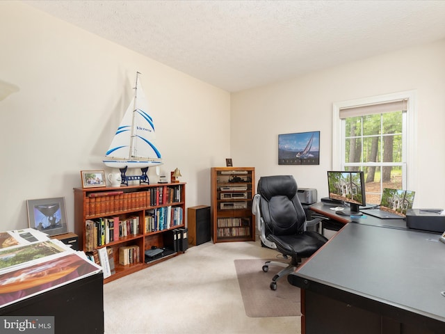 228 Sunset Cir, Cross Junction, VA 22625 - carpeted home office featuring a textured ceiling