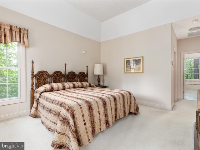 228 Sunset Cir, Cross Junction, VA 22625 - bedroom featuring light carpet and baseboards