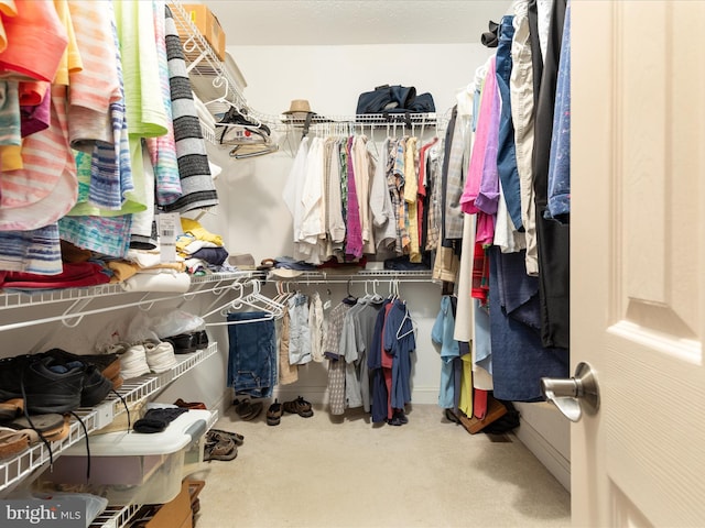 228 Sunset Cir, Cross Junction, VA 22625 - spacious closet featuring carpet