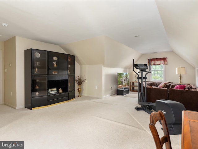 228 Sunset Cir, Cross Junction, VA 22625 - workout room featuring carpet floors, lofted ceiling, and baseboards