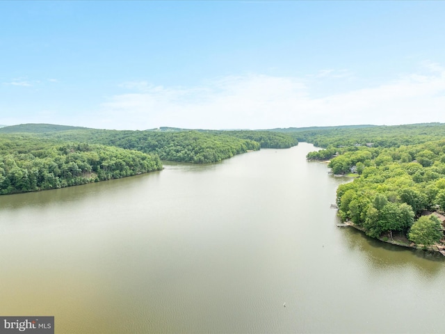 228 Sunset Cir, Cross Junction, VA 22625 - water view featuring a heavily wooded area