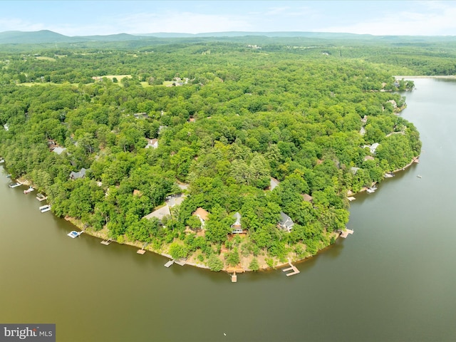 228 Sunset Cir, Cross Junction, VA 22625 - drone / aerial view of a forest and a large body of water