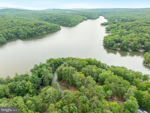 228 Sunset Cir, Cross Junction, VA 22625 - drone / aerial view of a forest and a large body of water