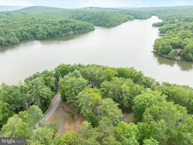 228 Sunset Cir, Cross Junction, VA 22625 - drone / aerial view of a heavily wooded area and a nearby body of water