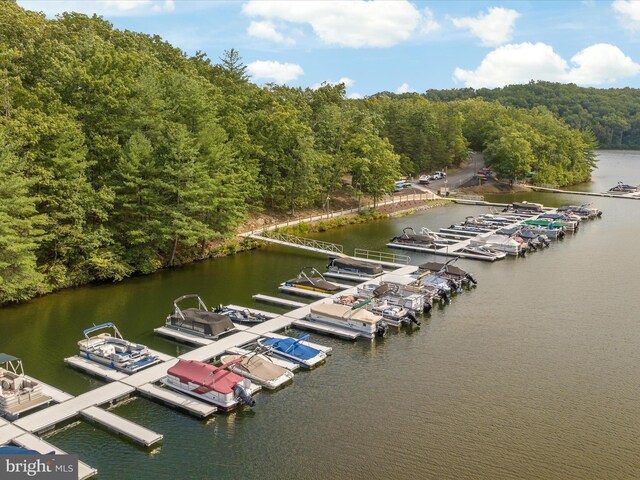 228 Sunset Cir, Cross Junction, VA 22625 - dock area with a wooded view and a water view