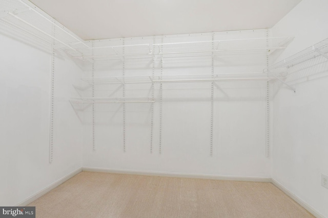 1176 Bandy Run Rd, Herndon, VA 20170 - spacious closet with light carpet