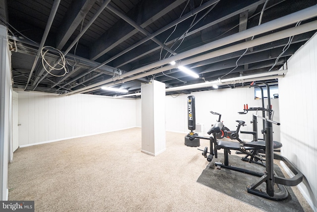 27 Shelbourne Rd, Havertown, PA 19083 - exercise area featuring carpet
