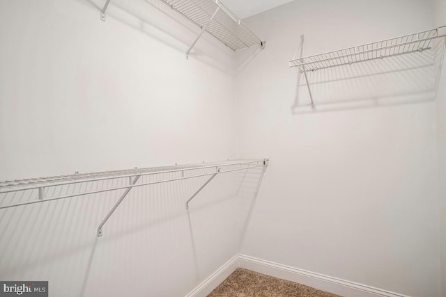 743 W Cross St, Baltimore, MD 21230 - view of spacious closet