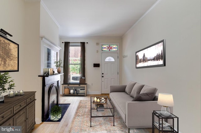 743 W Cross St, Baltimore, MD 21230 - living room featuring ornamental molding, light wood-style flooring, and a fireplace