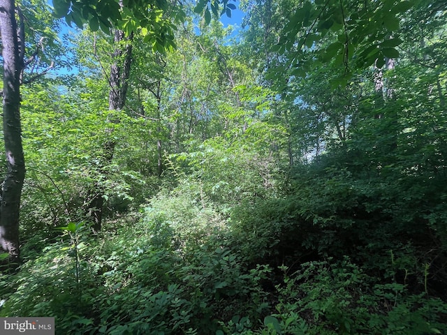 3909 Glen Cove Rd, Darlington, MD 21034